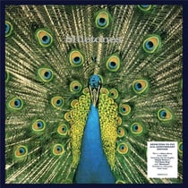 Expecting To Fly - 25th Anniversary