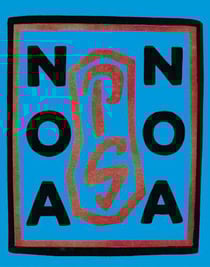 Paul gauguin noa noa (lives of the artist) /anglais