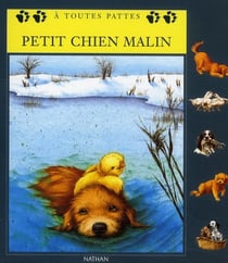 Petit chien malin