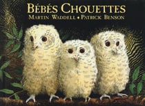 bébés Chouettes