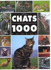 Chats en 1000 photos