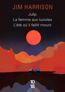 Big book julip / la femme aux lucioles / l'été où il faillit mourir