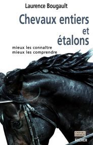 Chevaux entiers et étalons : mieux les connaître, mieux les comprendre