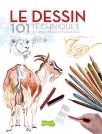 Le dessin - 101 techniques pour apprendre et progresser