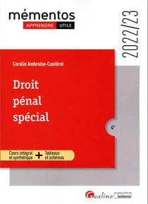 Droit pénal spécial : infractions contre les personnes - infractions contre les biens - atteintes aux intérêts publics (4e édition)