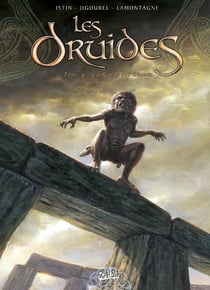 Les druides Tome 4 : la ronde des géants