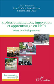 Professionnalisation, innovation et apprentissage en Haïti - leviers de développement ?