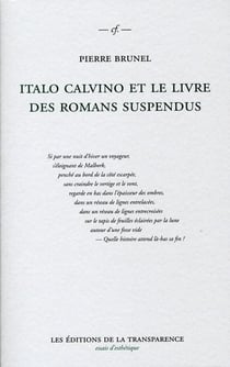 Italo calvino et le livre des romans suspendus
