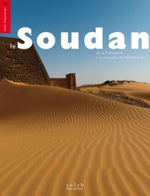 Le Soudan  : de la Préhistoire à la conquête de Mehemet Ali