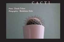 Cacti