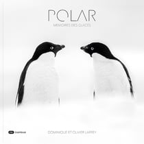 Polar : Mémoires des glaces