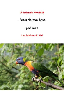 L'eau de ton âme