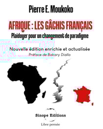 Afrique: Les gâchis français : Plaidoyer pour un changement de paradigme
