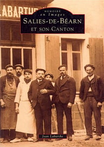 Salies-de-Béarn et son canton