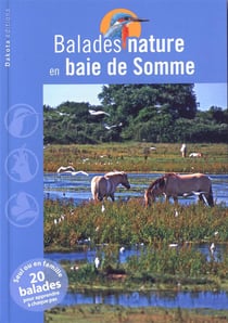 Balades Nature En Baie De Somme 2013