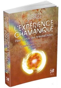 L'expérience chamanique - pour sortir des traumatismes et retrouver la puissance créatrice de son âme