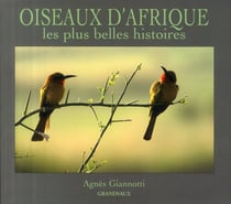 OISEAUX D'AFRIQUE : LES PLUS BELLES HISTOIRES