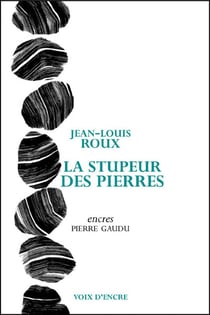 La stupeur des pierres