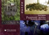 Passivité active, demarche de création in-situ