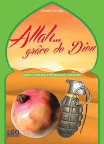 Allah... grâce de dieu - dérive ordinaire d'un djihadiste ordinaire