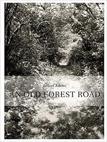 Robert adams an old forest road