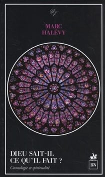 Dieu sait-il ce qu'il fait ? cosmologie et spiritualité