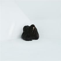 Hiss spun