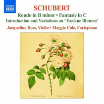 Schubert: works f.violin vol.2