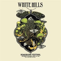 Live at the Roadburn 2011