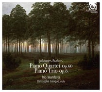 Piano quartet & trio