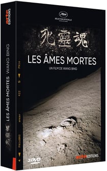 Les Âmes mortes