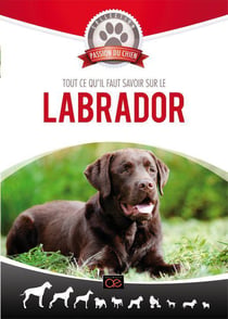 Tout ce qu'il faut savoir sur le Labrador