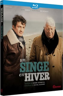 SINGE EN HIVER (UN) - GC BLU-RAY