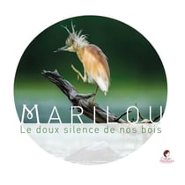 Le doux silence de nos bois