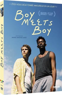 Boy Meets Boy