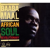 African soul revolutionary: the early yeas