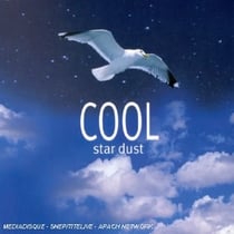 Cool Star Dust - Les Plus Beaux Airs De Jazz Pour Se Détendre