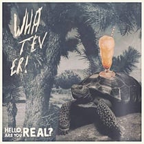 Hello are you real / Aron Dalesio