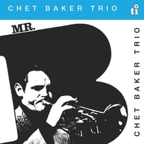 Mr. B - édition limitée colorée