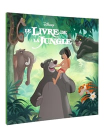 LE LIVRE DE LA JUNGLE - Monde Enchanté - L'histoire du film - Disney