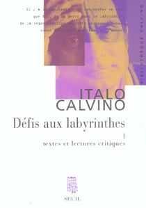 Defis aux labyrinthes. textes et lectures critiques