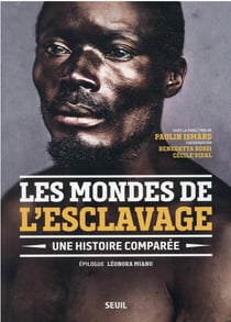 Les mondes de l'esclavage : une histoire comparée