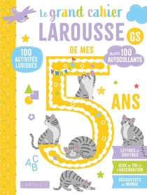 Le grand cahier Larousse de mes 5 ans