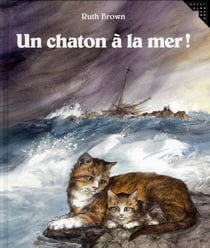 Un chaton à la mer !