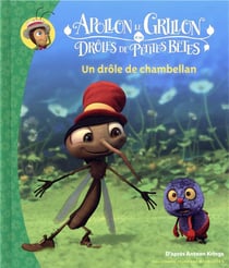 Un drôle de chambellan