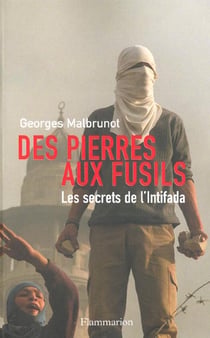 Des pierres aux fusils