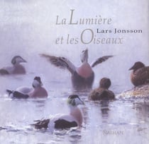 La lumiere et les oiseaux