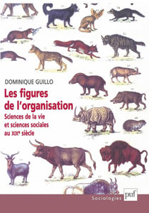 Les figures de l'organisation - sciences de la vie et sciences sociales au XIXe siècle