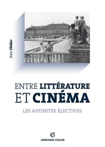 Entre littérature et cinéma - les affinités électives