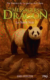 Les messagers du dragon - cycle 1 Tome 4 : Le soleil noir